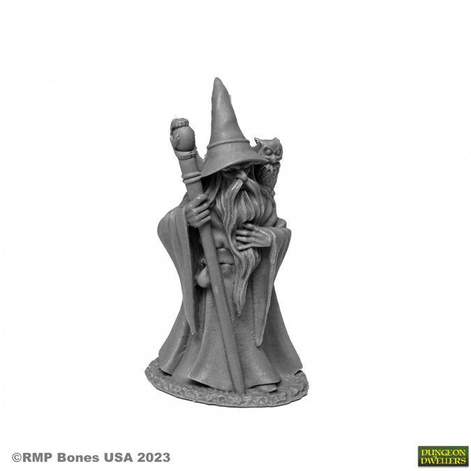 Reaper Dungeon Dwellers ANUMINAR WINTERBEARD, WIZARD