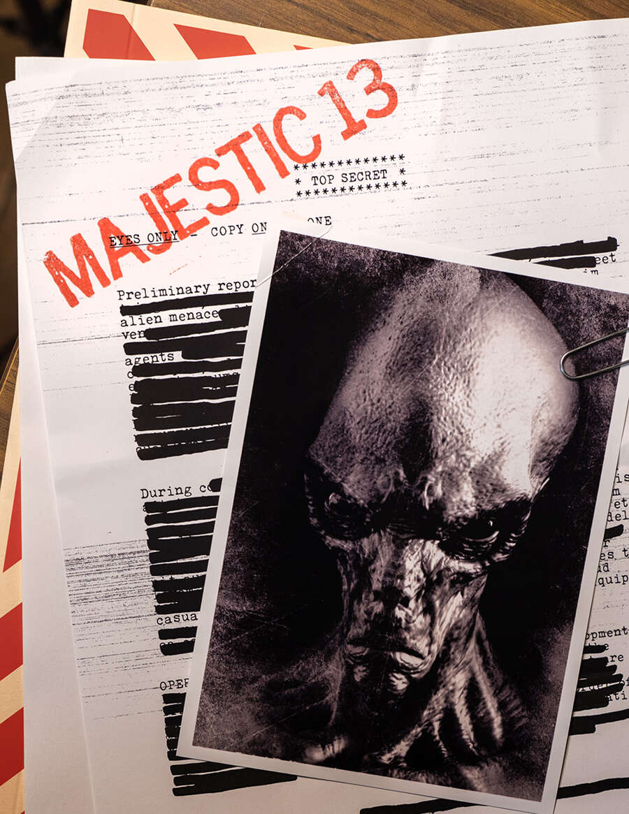 Majestic 13