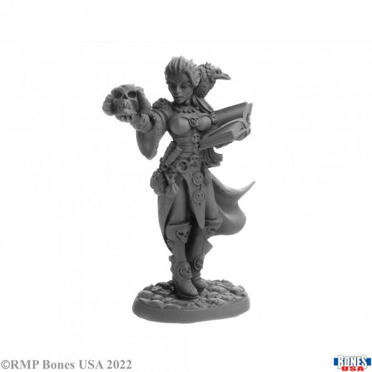Reaper Bones Legends: Terezinya, Bonepanders