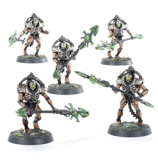 Necrons: Tiarch Praetorians/Lychguard